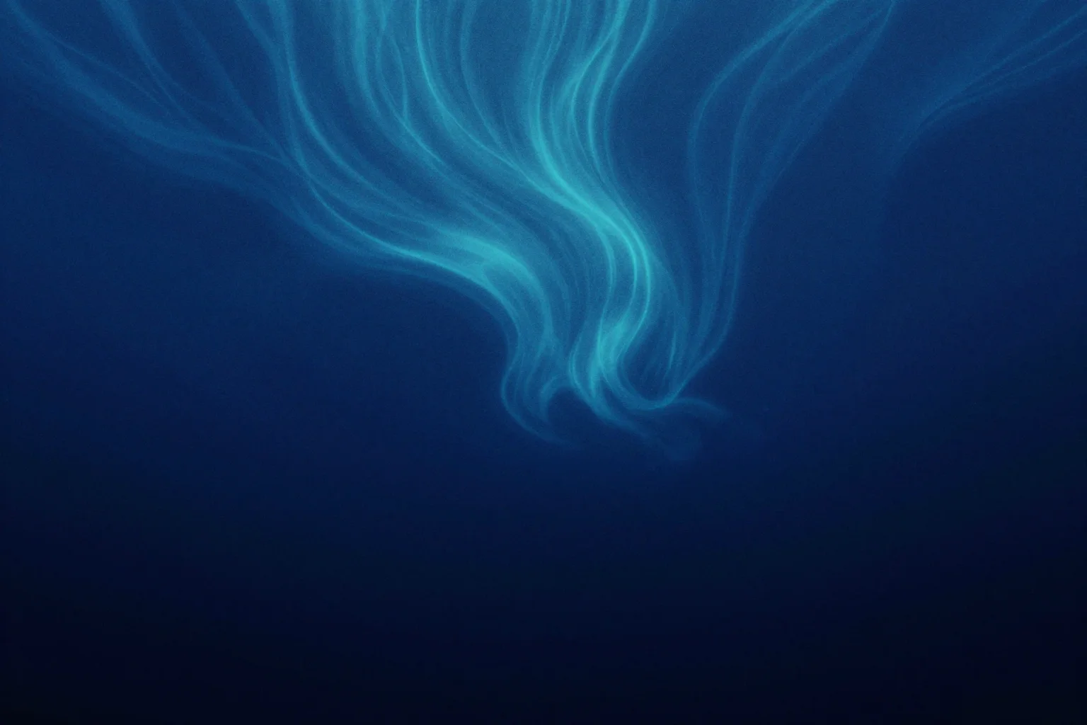 Best Faceless YouTube Animals Channels to Start in 2026